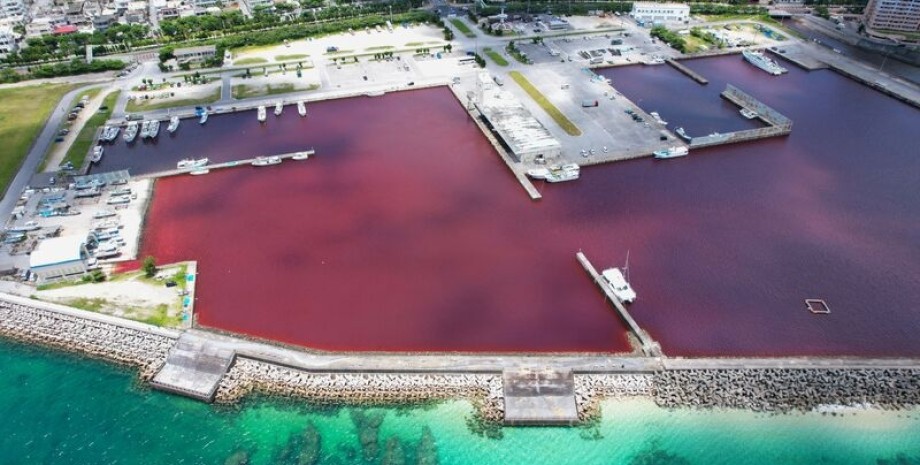 Море в Японії, море стало червоним, море, вода, пиво, завод, річка, Наго, курорт, чиста вода, витік хімікатів,