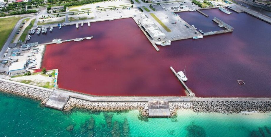 Море в Японии, море стало красным, море, вода, пиво, завод, река, Наго, курорт, чистая вода, утечка химикатов,