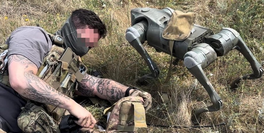 псы войны, собаки роботы, роботы-собаки, Роботы-собаки ВСУ, робопсы в Украине