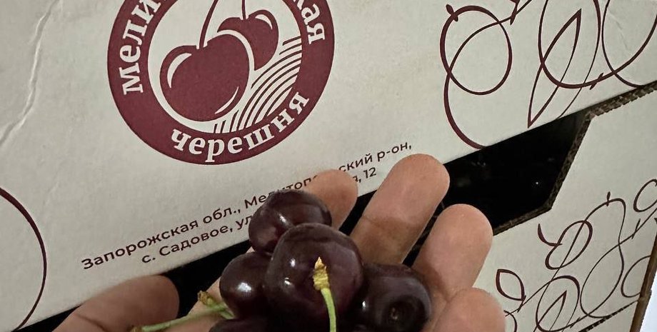 мелітопольська черешня, ягода, запорізька область