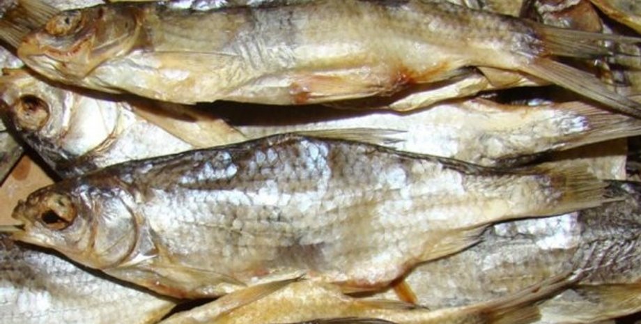 Иллюстративное фото