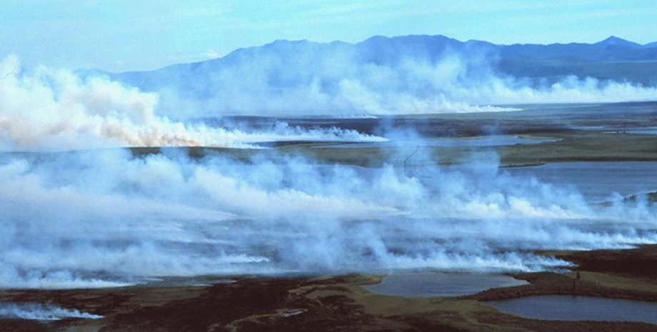 пожежа в тундрі, зомбі пожежі