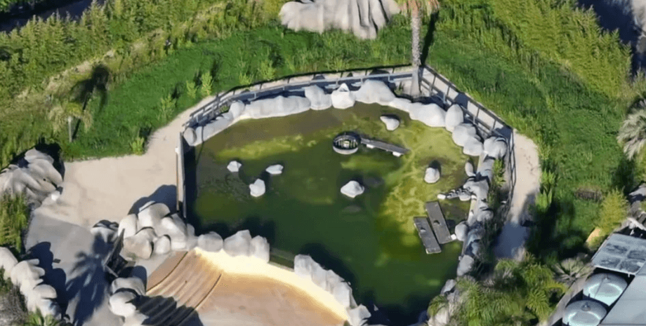 Заброшенный аквапарк, косатки в неволе, закрытие морского парка, переселение морских животных, запрет морских шоу