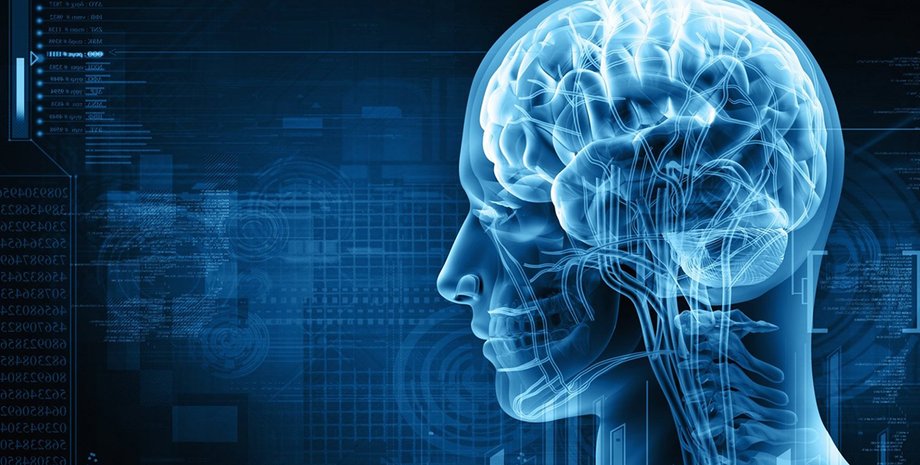 Фото: digitalsignalmedia.com