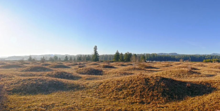 курганы, курганы мима