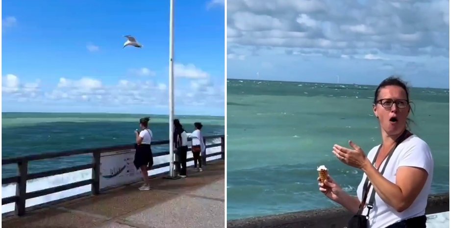 Женщина ела мороженое возле пирса: она не была готова к тому, что произойдет дальше
