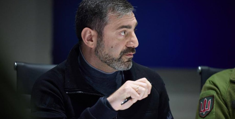 Дмитро Лубінець, Лубінець, омбудсман, омбудсмен