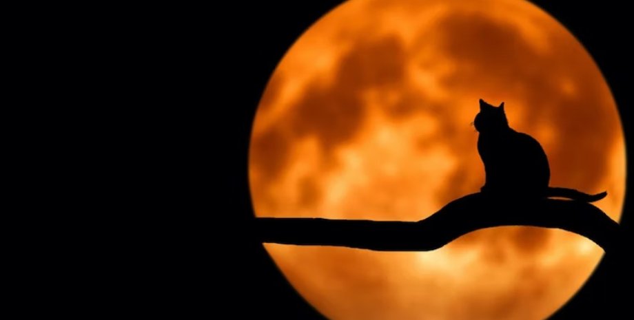 Повня в липні 2025 року стане часом для переомислення