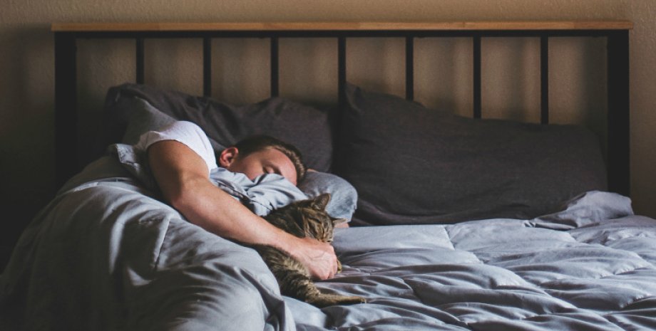 чоловік із котом, роздільний сон, чоловік спить окремо, чоловік спить із котом, кіт, котик у ліжку