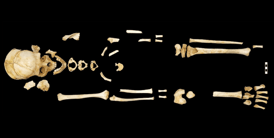 археология, история, археолог, захоронение, девушка, останки, пещера, неолит, останки, Испания