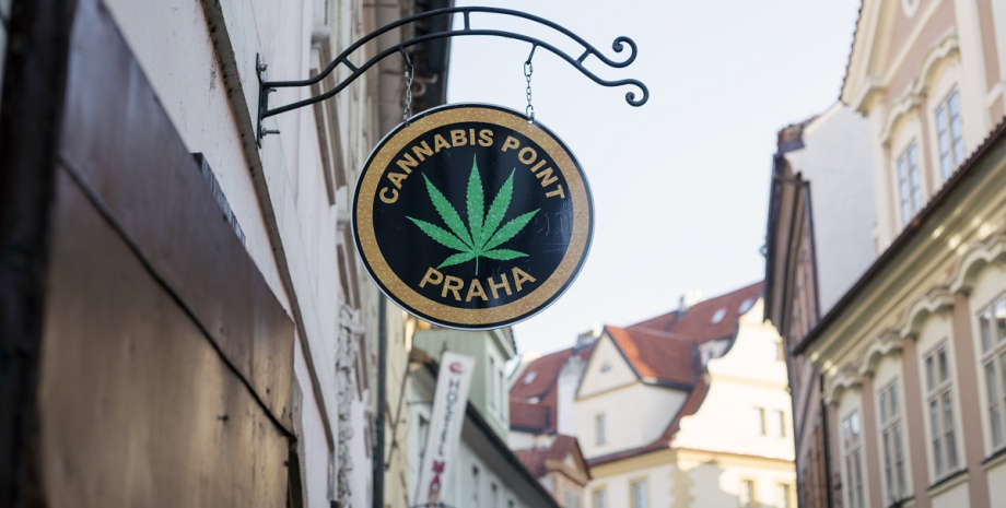 декриминализация каннабиса Чехия, каннабис, декриминализация каннабиса