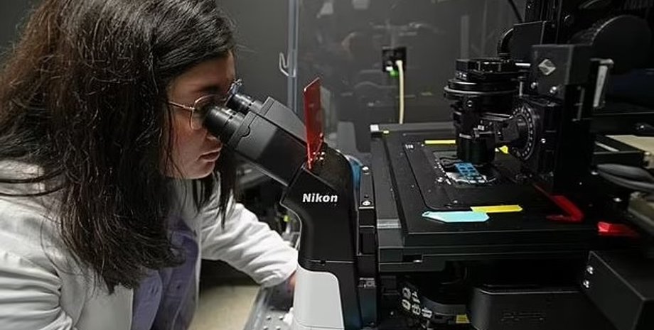 микроскоп, бактерии, изучение бактерий