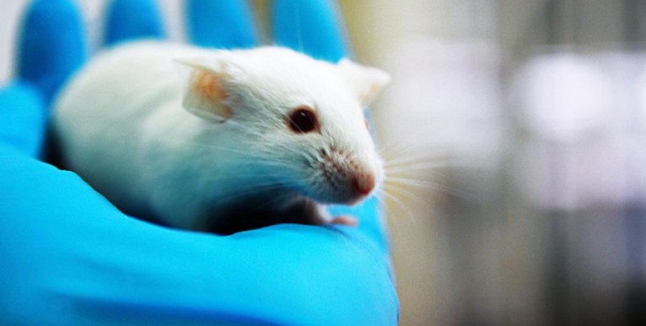 Фото: gbtimes.com