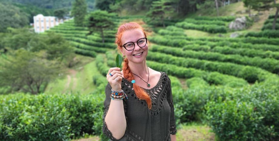 Продукти за копійки, безплатна їжа в Бельгії, як економити на харчуванні, де купувати продукти, лайфхаки