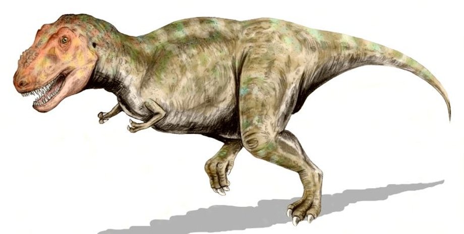 Тираннозавр. Иллюстрация: Nobu Tamura, commons.wikimedia.org