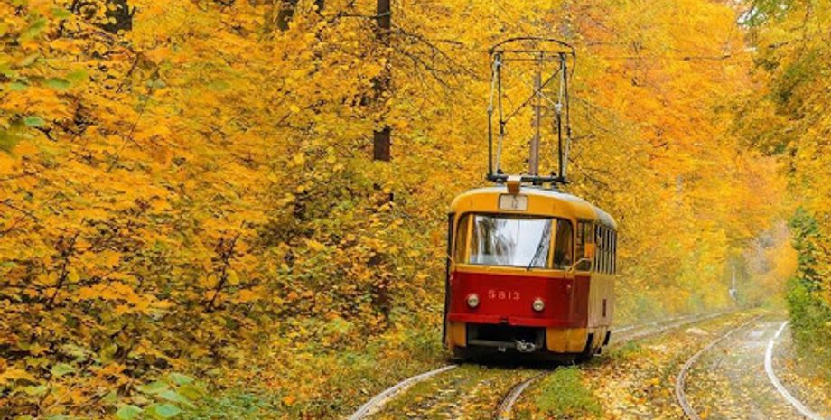 Фото: starkiev.com