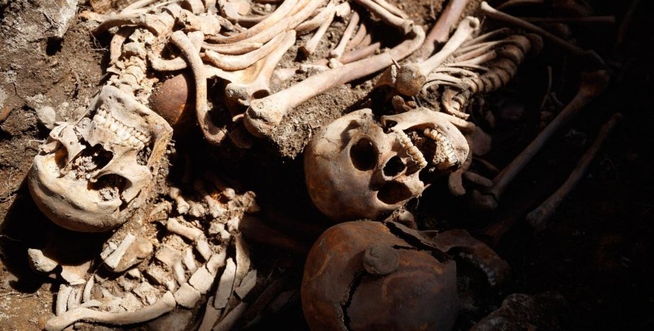 человеческие останки, кости, черепа, фото