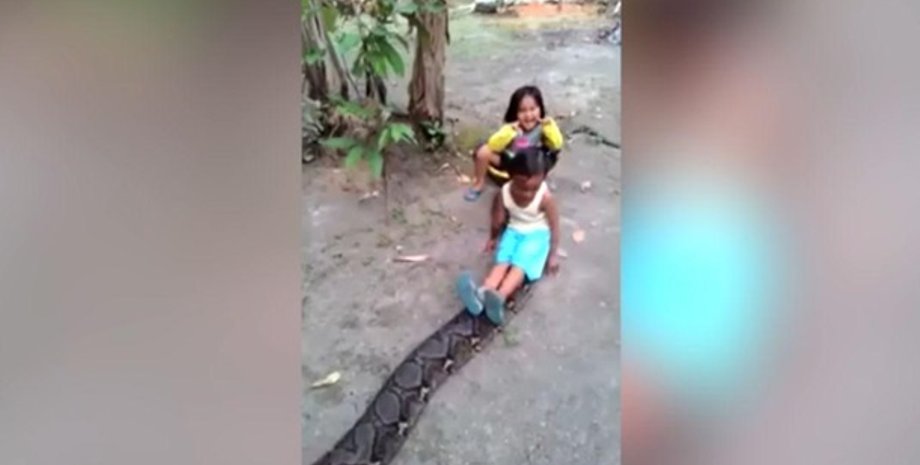 Фото: Скриншот из видео