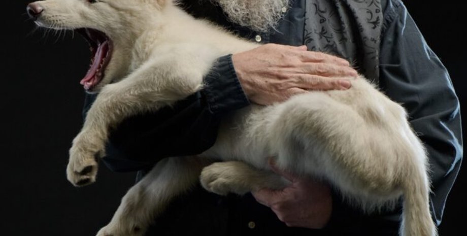 Джордж Мартін і лютововк