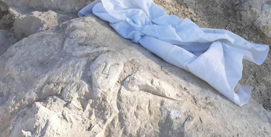 римський форт, різьблення по каменю, стародавні артефакти, археологічні знахідки, різьблення по фалосу, римська історія, символіка, історичне значення, археологія, розкопки, дослідження, різьблення, фалос, знахідка,