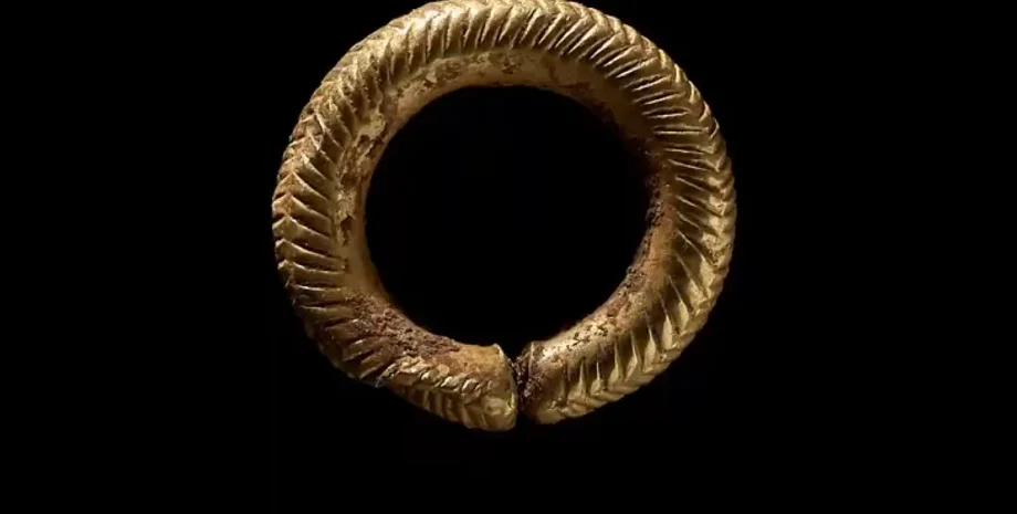 розкопки, археологія, дослідження, археологи, кільце, золото, прикраса, бронзовий вік, статус, древні люди, волосся, орнамент, артефакт, гребінець, Британія, знахідка