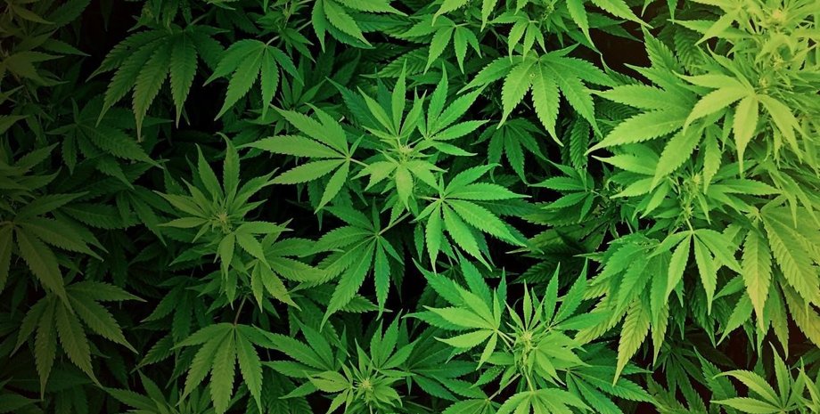 Фото: VistaNews.ru