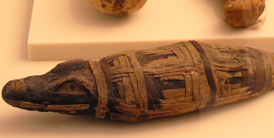 мумія, Єгипет