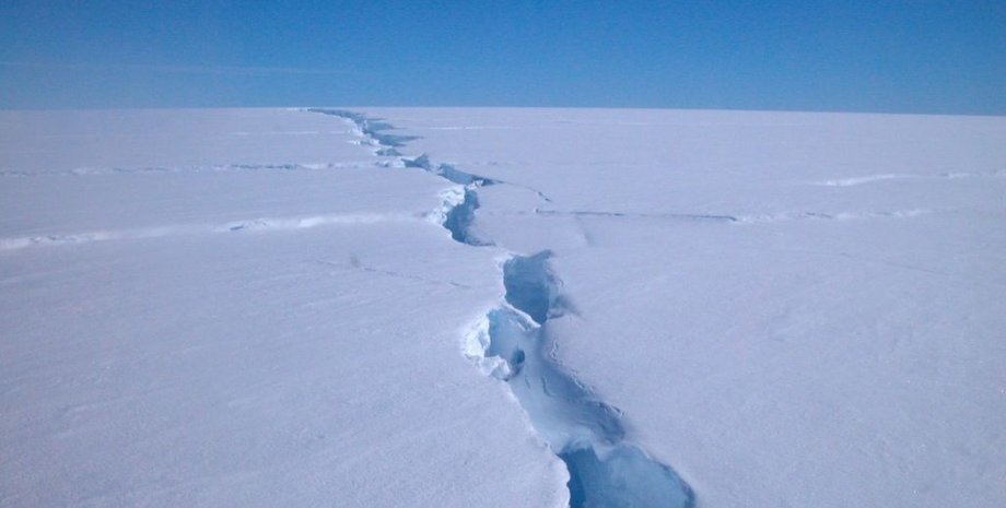Richard Coleman/Australian Antarctic Division