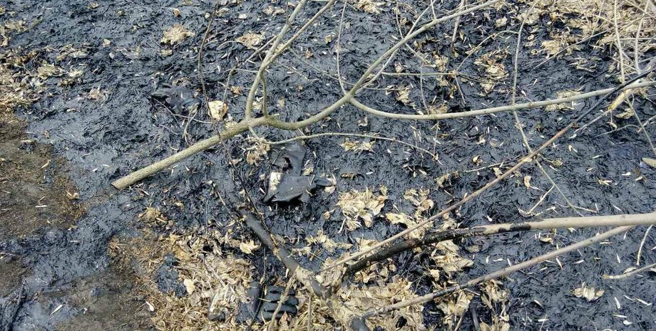 Фото: Телеграф