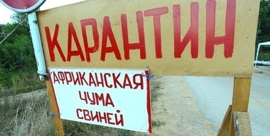 Карантиннная зона: АЧС / Юрий Гречко, "Югополис"