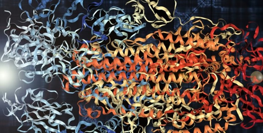 Скриншот видео