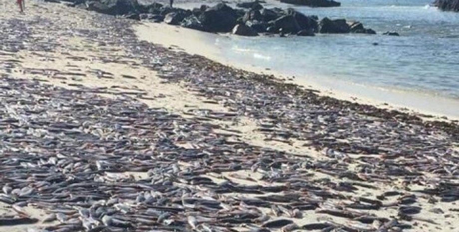 Кадр из видео