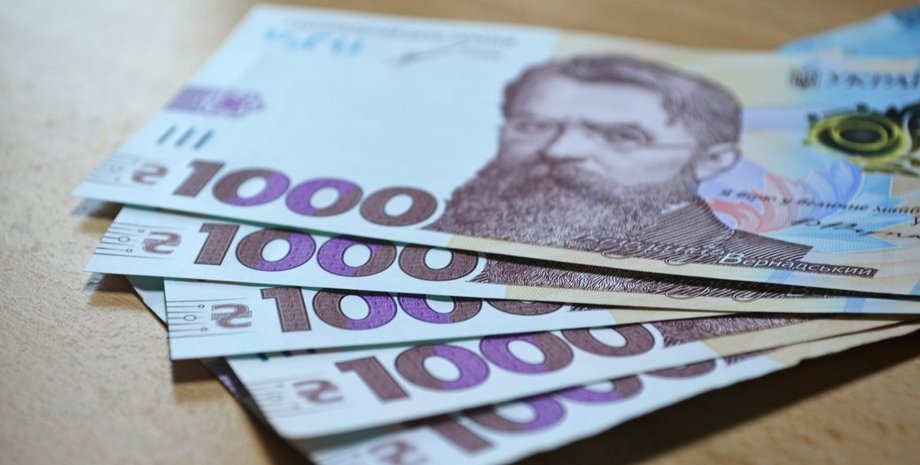 Зимова підтримка