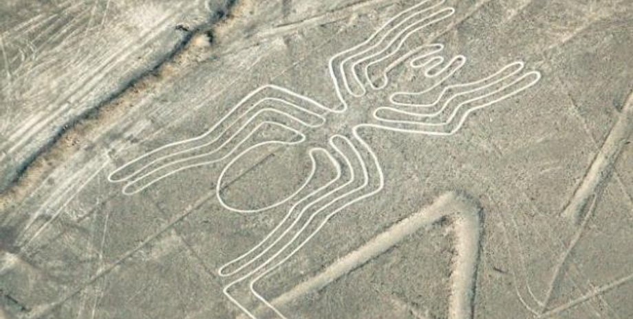 Фото: CanY71/iStock