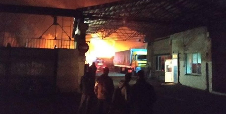 Фото: cheline.com.ua