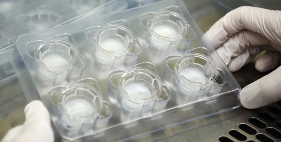 Фото: Al Jazeera