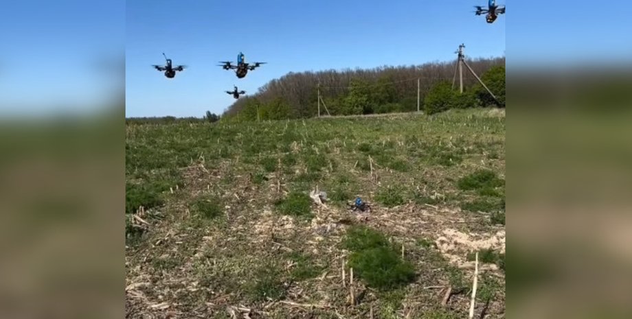 Рой, БПЛА, дроны, беспилотники, Винница, фото