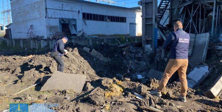 Последствия обстрела Ладыжинской ТЭС, Ладыжинская ТЭС