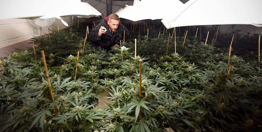 Полицейский в бункере / Фото: telegraph.co.uk