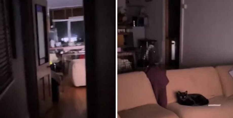 Мужчина испугался своего кота, кот включил телевизор, проснулся от загадочного звука, не один в доме, соцсети, вирусное видео