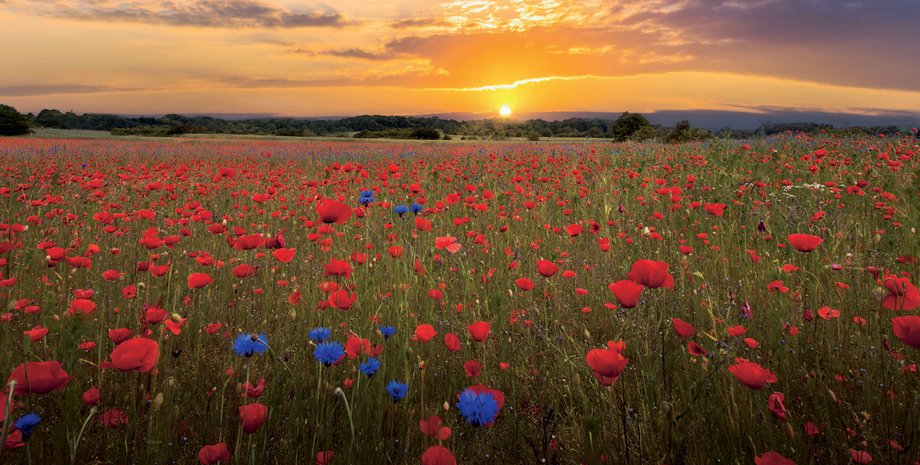 Фото: Getty Images