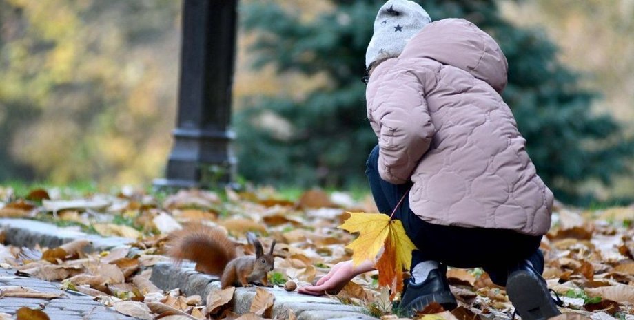 осенняя погода в украине тепло