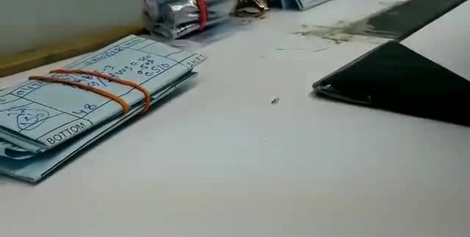 Фото: Скриншот