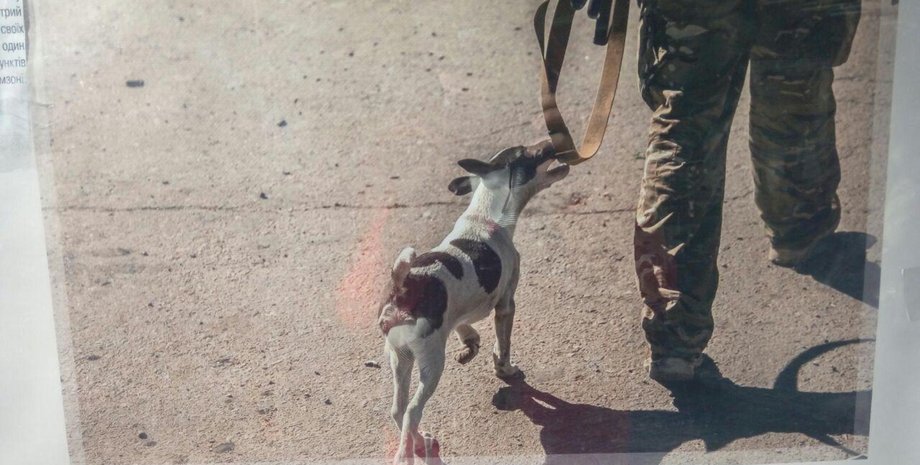 Фото: hromadske.ua