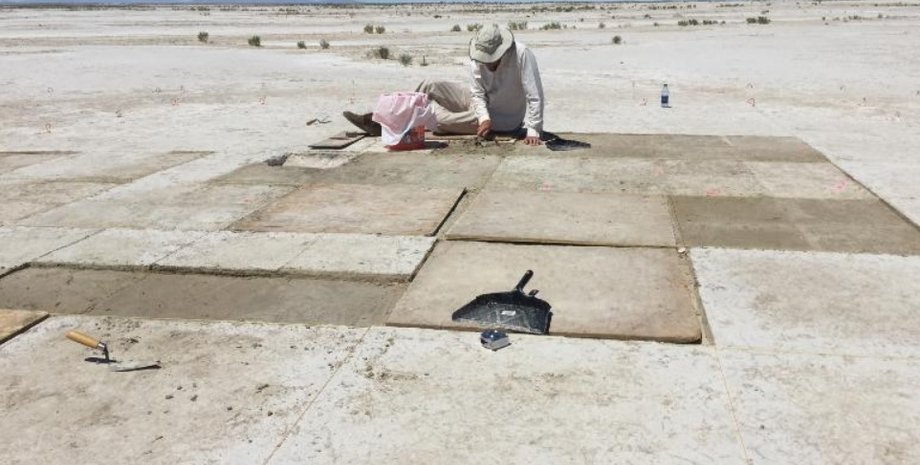 табак, семена, кострище