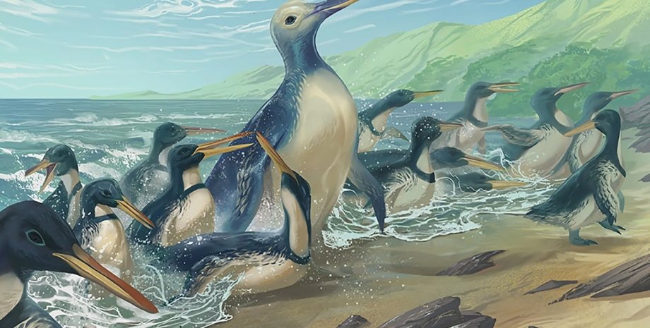 доисторический пингвин