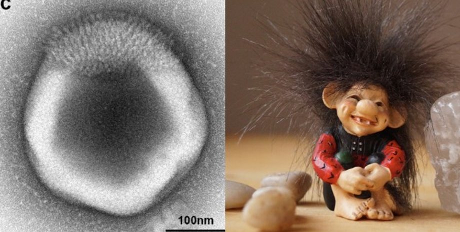 гигантский вирус, вирус троль