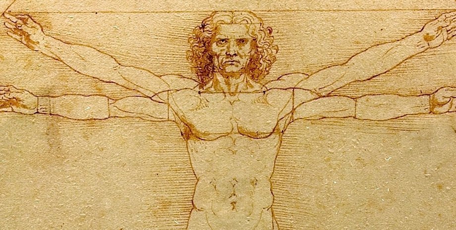 Вітрувіанська людина малюнок