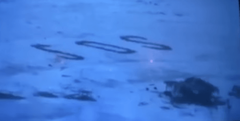 Фото: скриншот