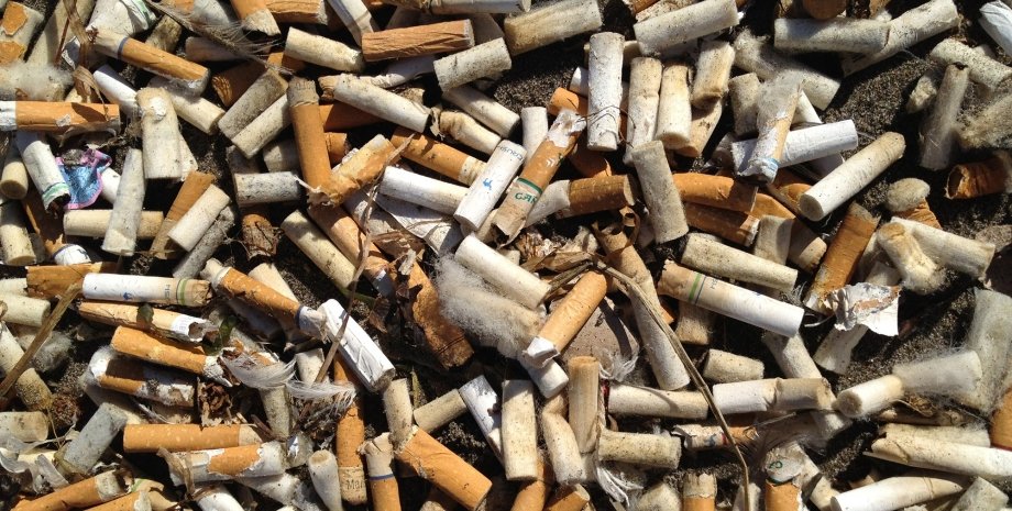 Сигаретные окурки, собранные на берегу Тихого океана в Орегоне в 2012 году. Thomas Jones / Ocean Conservancy